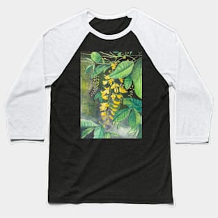 Laburnum flowers and leaves watercolor painting Baseball T-Shirt